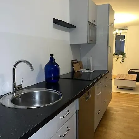 Moderne In Ehemaliger Muehle Rheinbreitbach